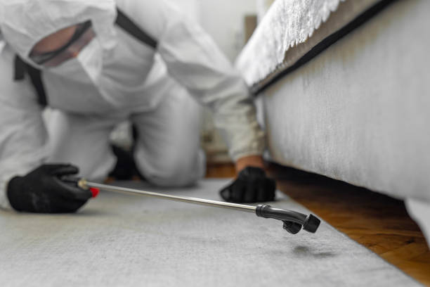 Professional Bed Bug Control technician working in Weston, WV