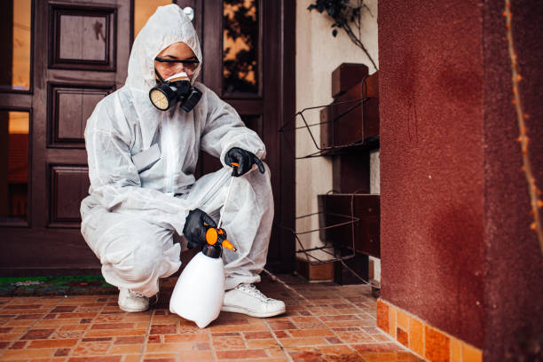 Reliable Bed Bug Control contractor in Weston, WV by Nex Pest Control