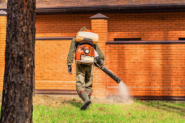 Top rated local Bed Bug Control specialists in Weston, WV